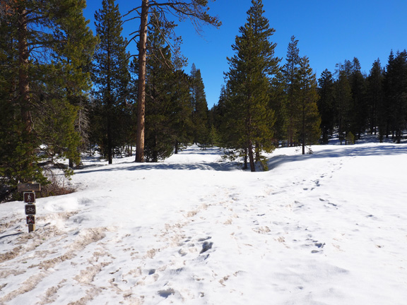Photograph of Alder Creek
