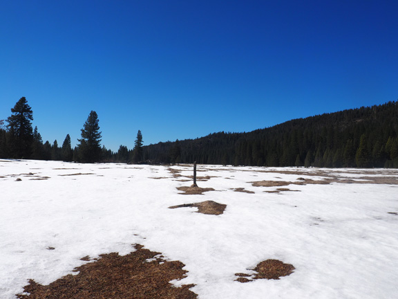 Photograph of Bear Valley