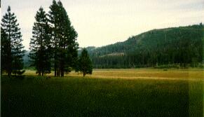 Photograph of Bear Valley