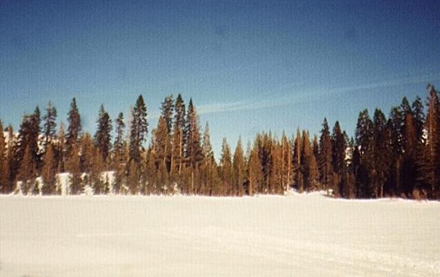 Photograph of snow flat