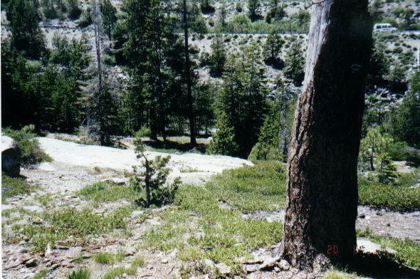 Photograph of trail on rock outcrop with river below