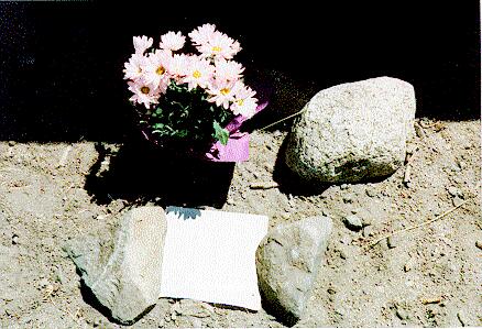Photograph of Flowers and Note
