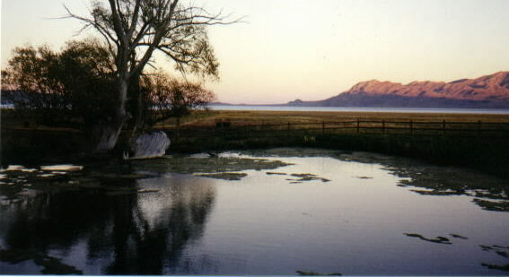 Photograph of Donner Springs