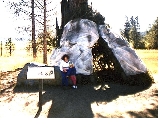 Photograph of recreated tent