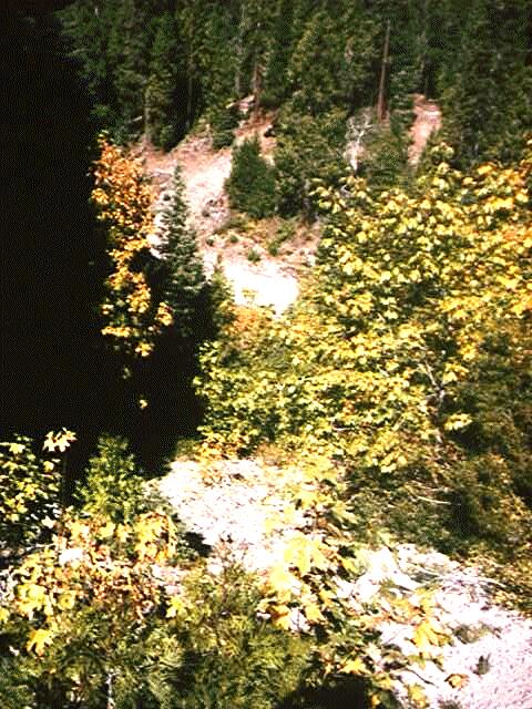 Photograph of Emigrant Gap