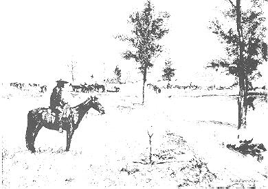 Drawing of rider on horse next to elm tree