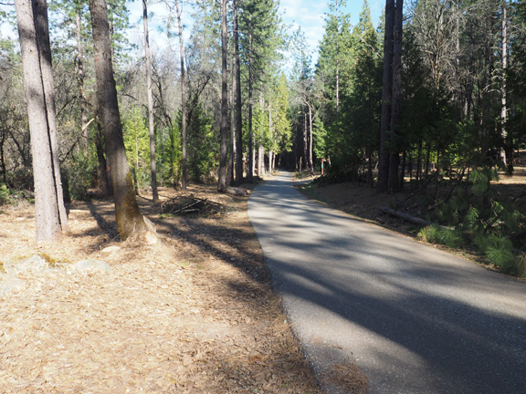 Photograph of road near Greenhorn crossing