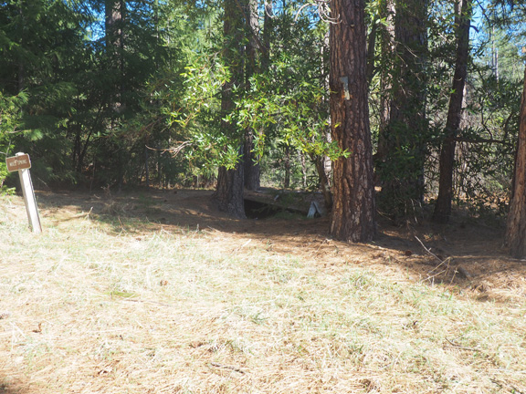 Photograph of Mule Springs