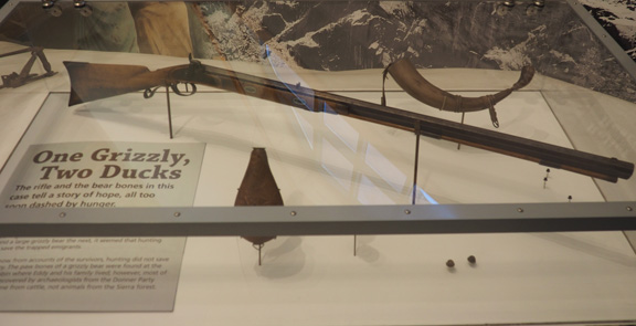 Photograph of rifle in museum display