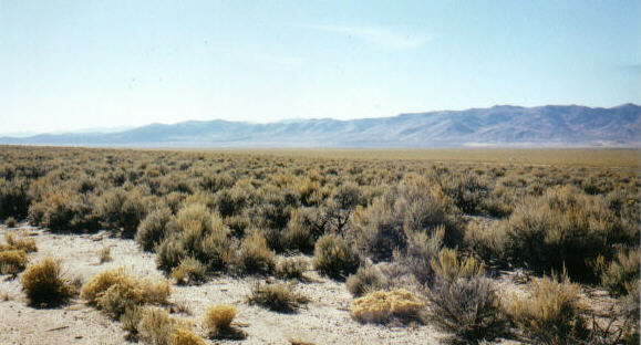 Photograph of Ruby Mountains