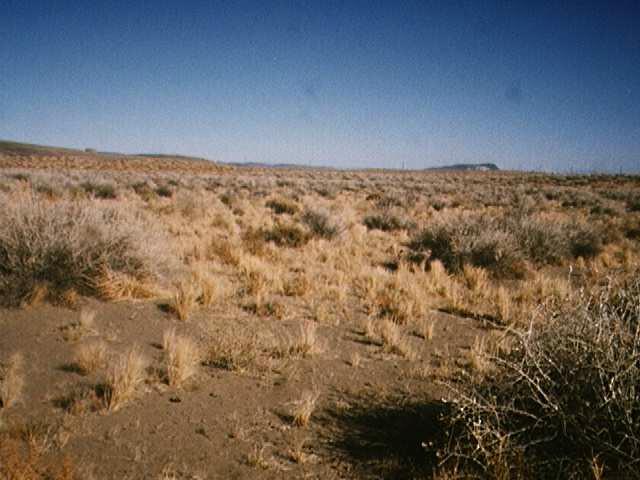Photograph of Sand Hills