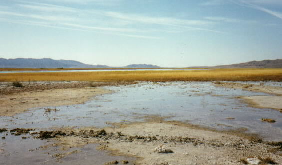 Photograph of Humboldt Sink