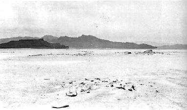 Old photograph of wagon remains